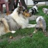 s fren